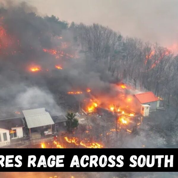 South Korea wildfires
