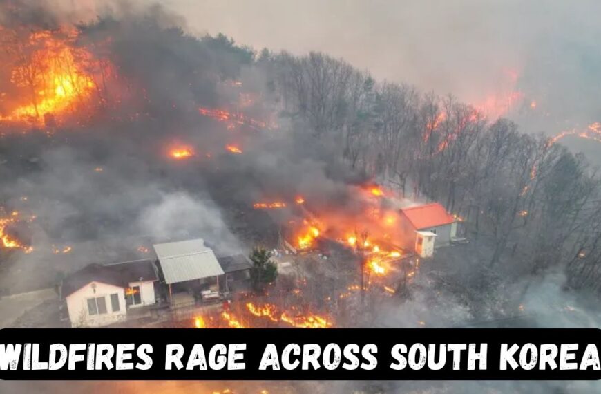 South Korea wildfires