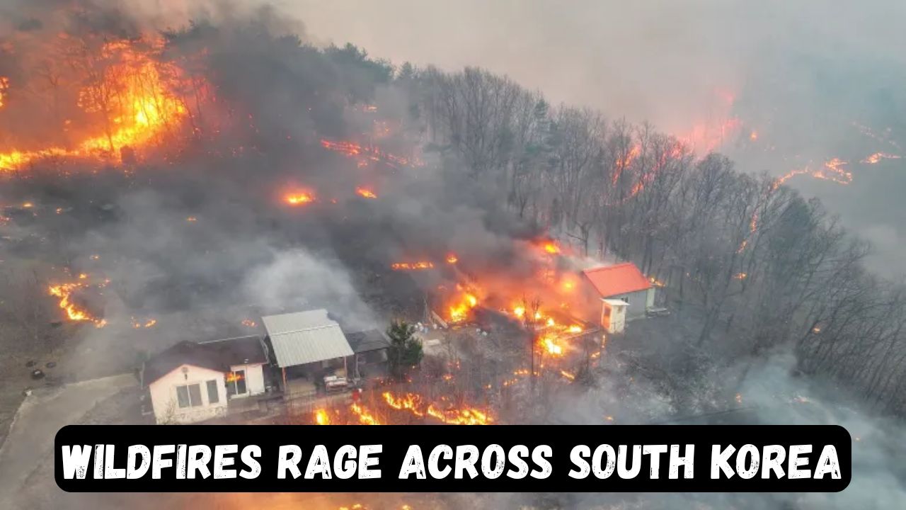 South Korea wildfires