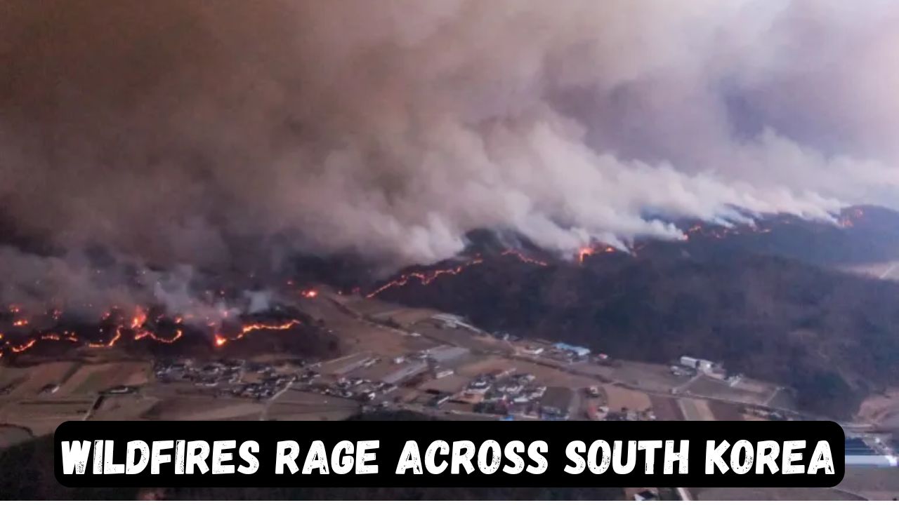 South Korea wildfires