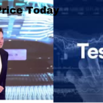 Tesla Ke Shares