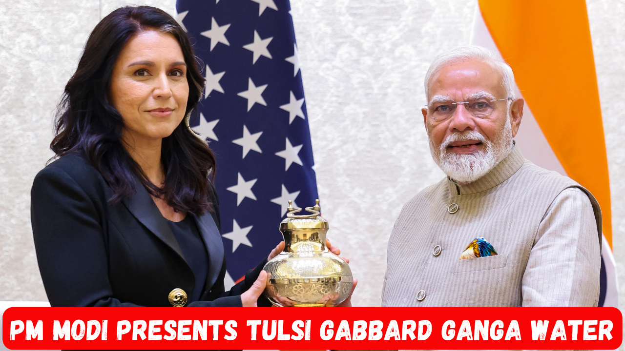 Tulsi Gabbard
