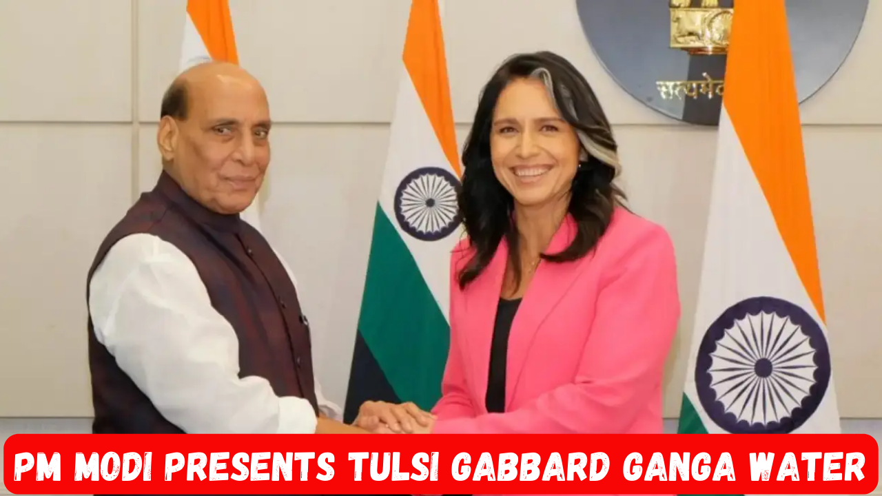 Tulsi Gabbard