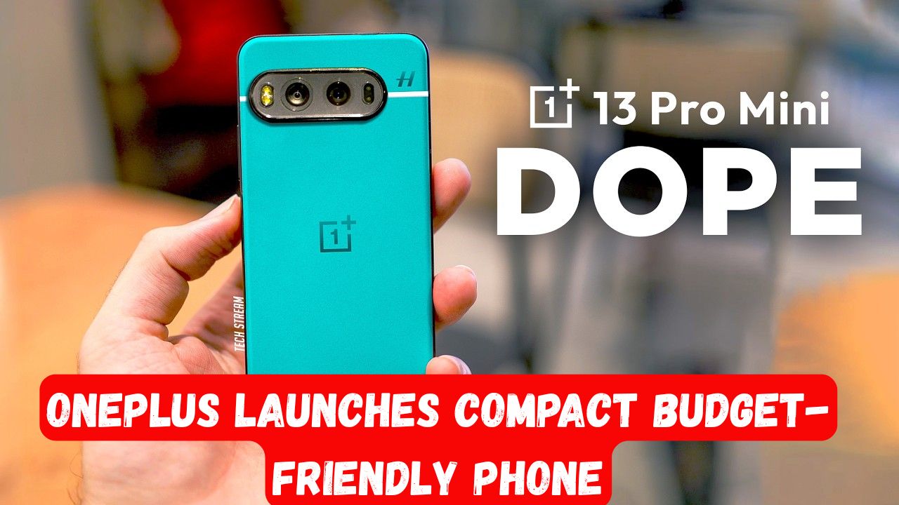 Oneplus 13T