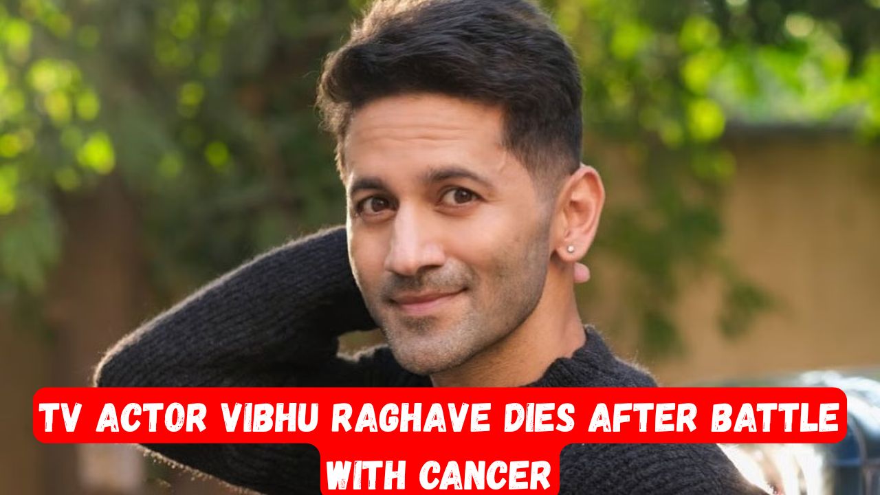 TV Actor Vibhu Raghave